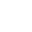 Logo WSFC
